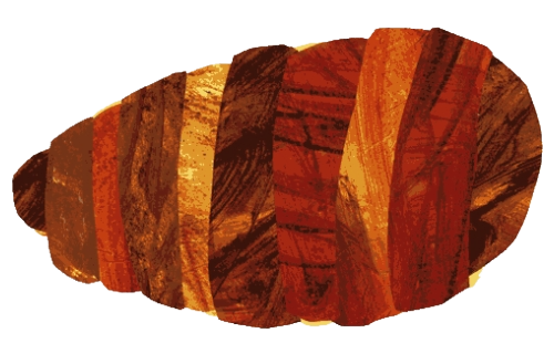 Chrysalis artwork from the first draft